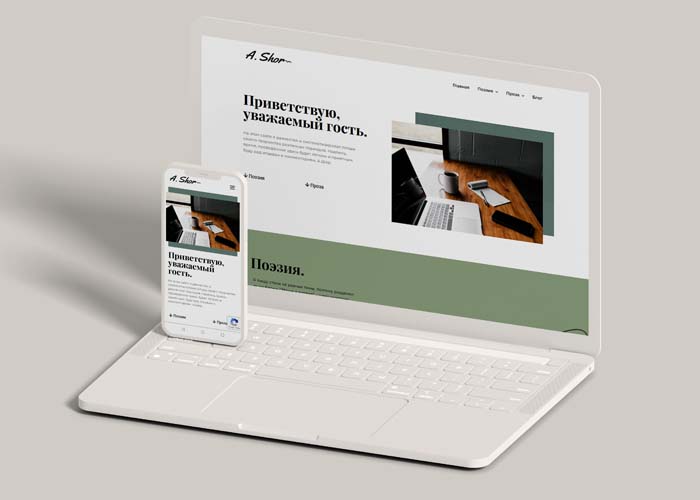 Alexshor תמונה לאתר