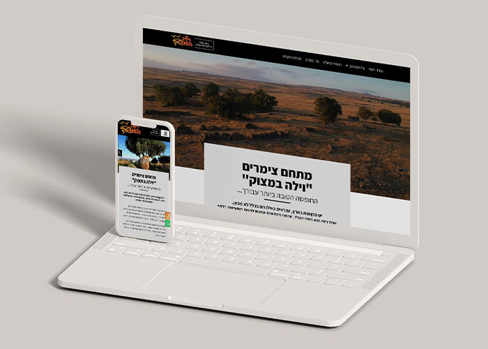 цимер на севере